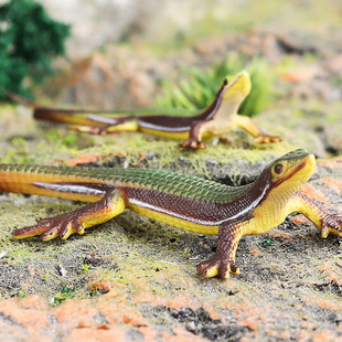 儿童爬行动物玩具北草蜥模型仿真蜥蜴石龙子实心摆件男孩科教认知