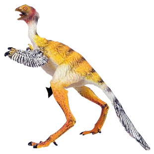 白垩纪恐龙世界中华龙鸟模型实心儿童玩具似鸟龙套装仿真动物男孩