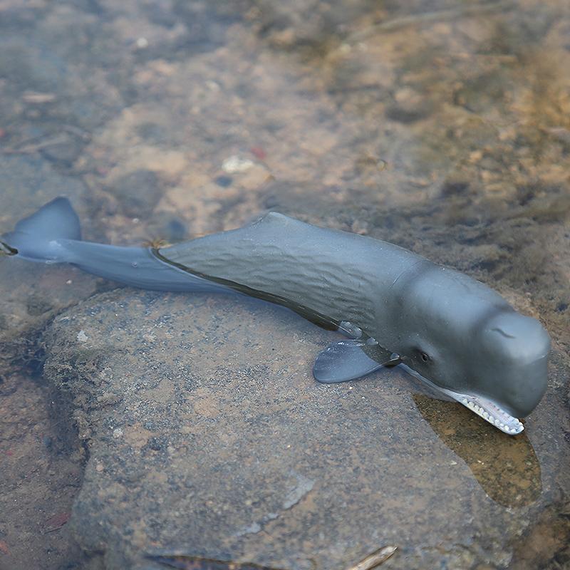 儿童海洋生物仿真动物玩具抹香鲸模型大号鲸鱼套装鲨鱼小男孩礼物