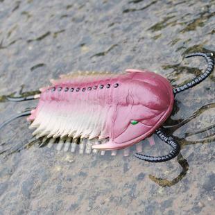 寒武纪史前生物三叶虫模型实心儿童仿真远古时代海洋动物玩具套装