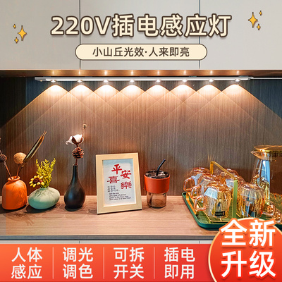 220v插电人体感应餐边柜灯带入户