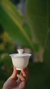 【好用的盖碗】景德镇手工包银盖碗