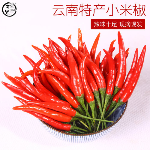 云南新鲜红辣椒小米椒小米辣特辣