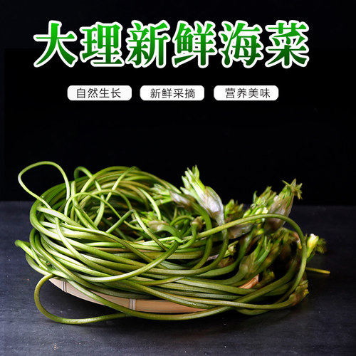 云南新鲜大理海菜花野菜