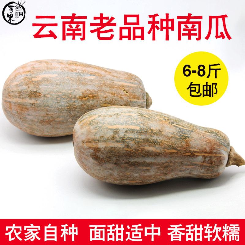 云南老南瓜老品种甜面黄粉糯香甜图片