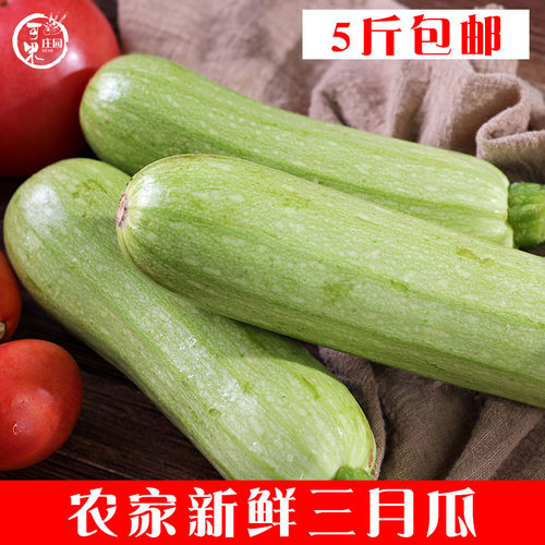 云南小瓜新鲜西葫芦三月脆嫩爽口