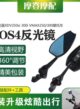 适用龙嘉XDV250si 300i VMAX250/300摩托车改装件AOS4反光后视镜