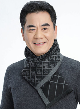 中老年商务风休闲男士长款围巾