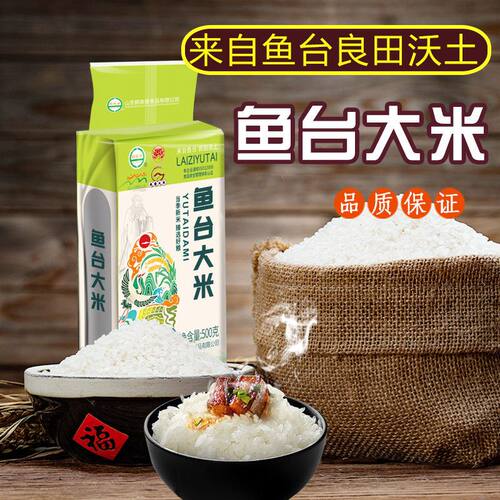 鱼台大米粳米500克批发零售珍珠