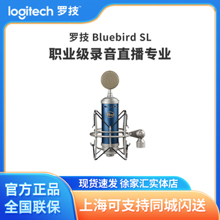 罗技Blue SL蓝鸟奶瓶高级电容麦克风录音直播专用款 话筒 Bluebird