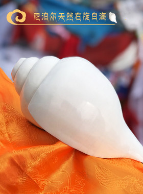 天然天然供养乐器居家用品