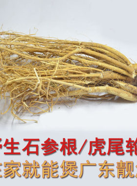 广东客家土特产石参根虎尾轮煲汤