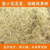 农家天然干稻草豚鼠荷兰猪兔子活体垫窝过冬生产保暖草小宠物用品