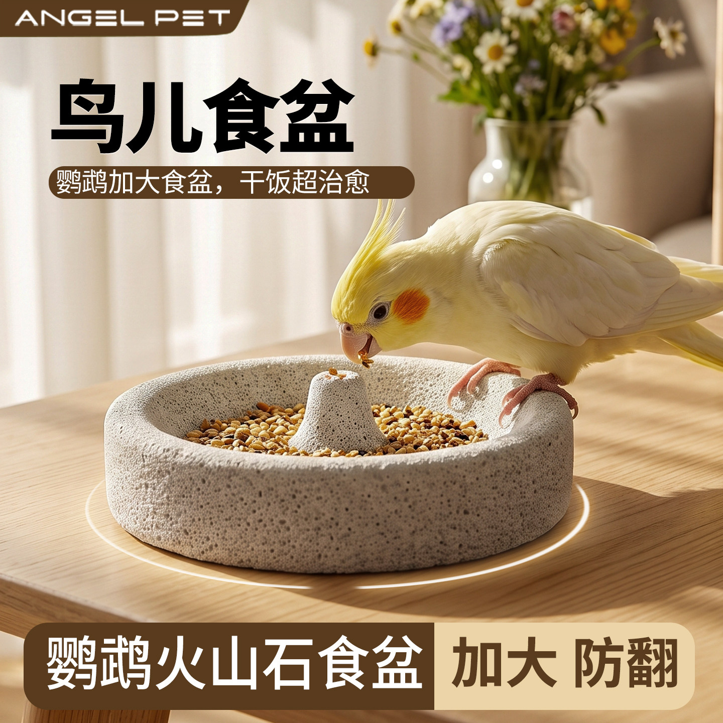 【安吉派特】鹦鹉专用火山石食盆图片