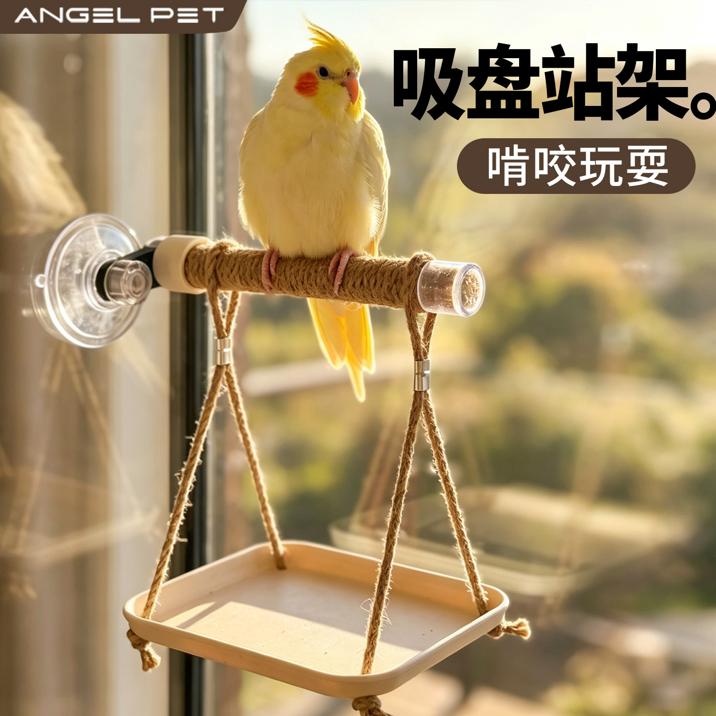 【安吉派特】鹦鹉便盘站杆图片