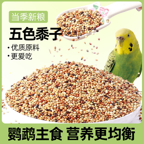 鹦鹉饲料鸟粮混合粮食五色黍子