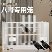 八哥鸟笼八哥专用笼鹩歌鸟笼户外洗澡大型配件特大号家养豪华笼子