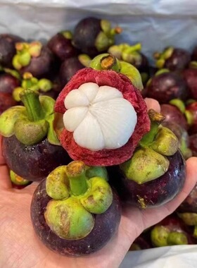 泰国空运山竹 4A5A散装约6斤 新鲜进口清热时令热带沙竹油竹水果