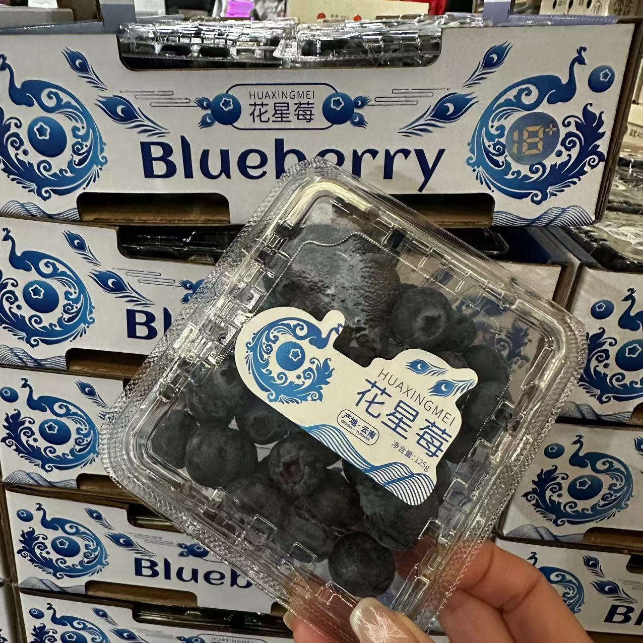 云南花星莓蓝莓 原箱12盒单盒125g 新鲜当季水果护眼青花素甜水果