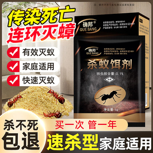 杀蚂蚁药一窝全窝端除灭白蚁药家用室内户外防治专用非无毒饵剂