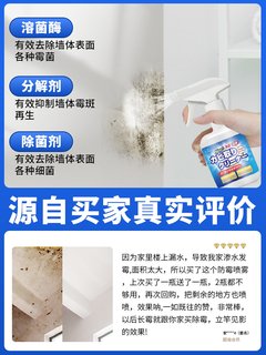 俏代美墙体除霉剂去霉斑霉菌清洁剂墙面瓷砖家用除霉清洁防发霉剂