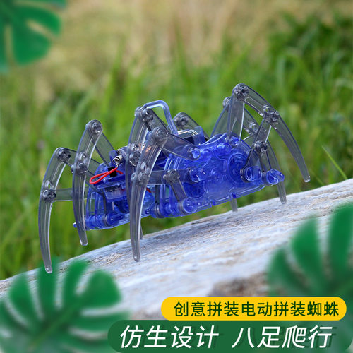 科学制作益智玩具diy行走蜘蛛拼