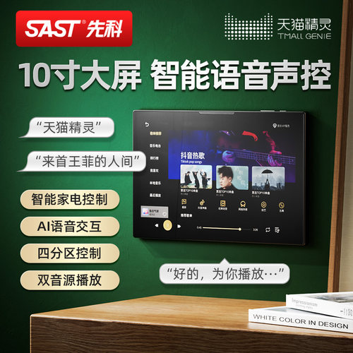 先科10寸家庭背景音乐主机