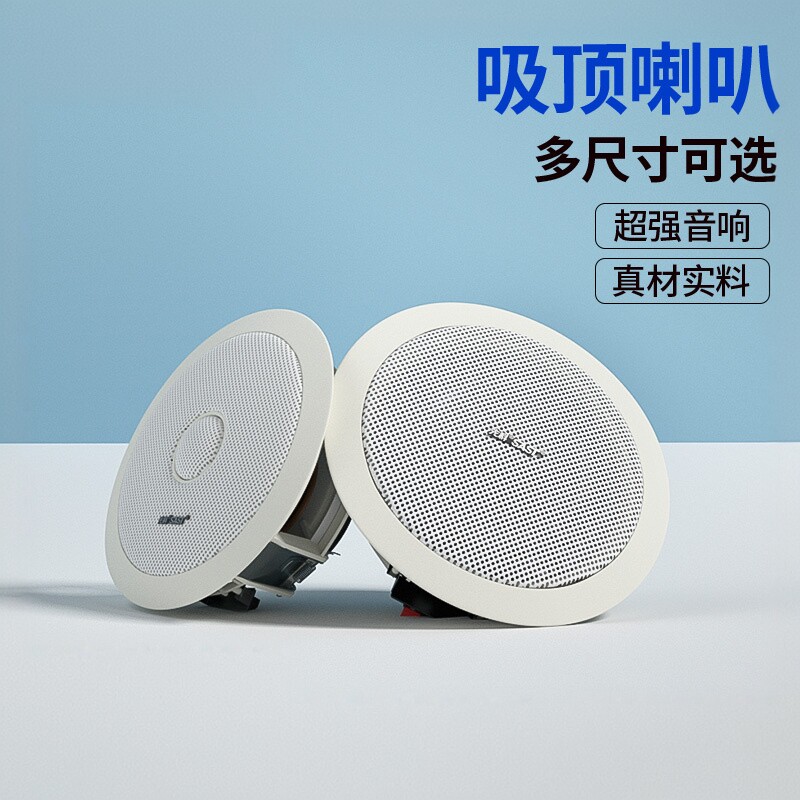 SAST/先科 S4-6同轴吊顶理发店吸顶嵌入式天花房顶背景音乐棚顶室内重低音音箱餐厅超市定压喇叭公共广播音响