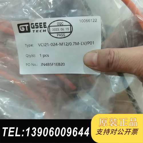GSEE吉诺VC121-024-M12/0.7M-/P0需问价