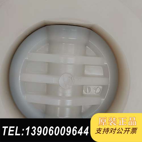 +GF+ PVDF 蝶阀 DN100 4