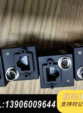 FLIR 灰点工业，2000万工业，BFS-PGE-需问价