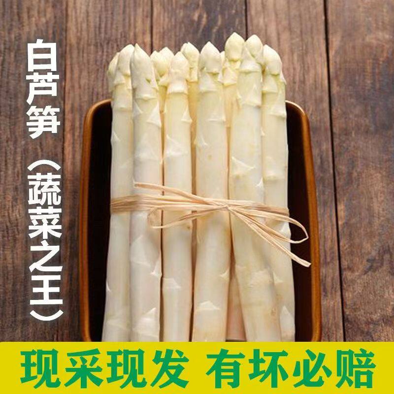 精品芦笋新鲜白芦笋现挖现发时令露天龙须菜蔬菜山东曹县特产包邮