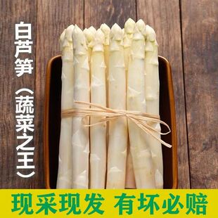 精品芦笋新鲜白芦笋现挖现发时令露天龙须菜蔬菜山东曹县特产包邮