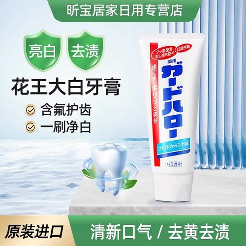 花王组合清新口气薄荷香165g牙膏