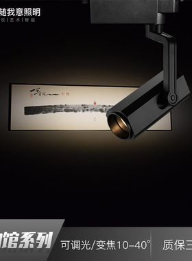 led射灯可调光变焦轨道灯吸顶式博物馆美术馆展厅灯照画明装COB灯