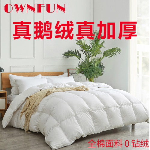 ownfun加厚保暖五星级静音羽绒被