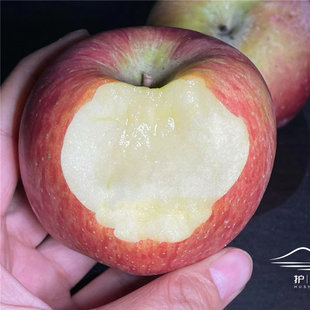 甜蜜 0激素甘肃护山丑苹果 多汁 爽口 浓香 松脆