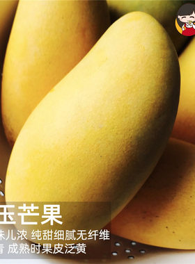 四川攀枝花农家黄玉芒果肉厚香甜
