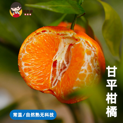 甘平柑橘皮薄肉厚有味多汁