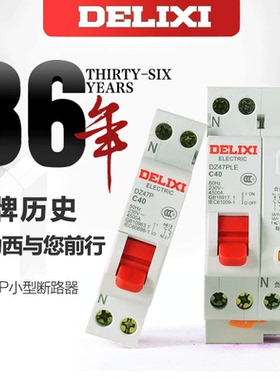 德力西 双进双出漏保 漏电保护器 空开 DPNLE DZ47PLE 6A-40A