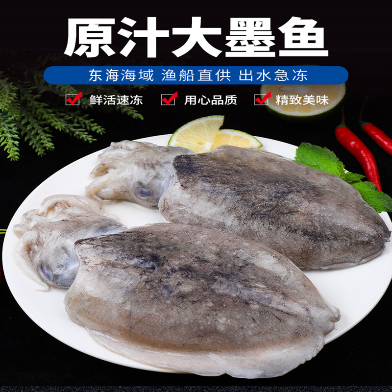 霞浦特大墨鱼乌贼海兔花枝墨斗鱼冷冻海鲜水产墨鱼仔新鲜目鱼鱿鱼