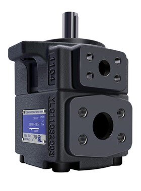 仙居YLC永灵叶片泵PV2R1-8/10/12/14/17/19/23/25/28/31RAF1油泵