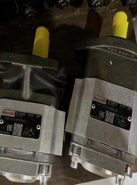 力士乐齿轮泵PGH2-22/008RR07VU2 PGP2-22/008RE20VE4柱塞泵油泵