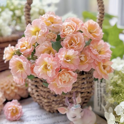 桃色绝代佳人地被月季庭院造景