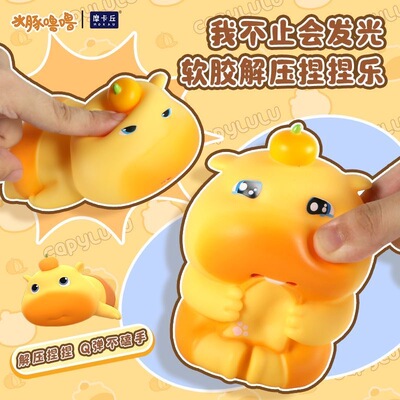 正版授权水豚噜噜捏捏乐减压玩具