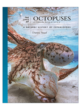 章鱼 柔软而强大的头足类 英文原版 The Lives of Octopuses and Their Relatives 普林斯顿 精装 英文版  进口原版英语书籍