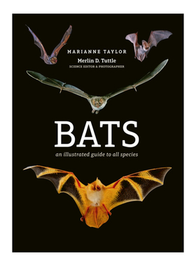 蝙蝠 英文原版 Bats An illustrated guide to all species 所有物种的图解指南 动物科普百科 精装 英文版 进口英语原版书籍
