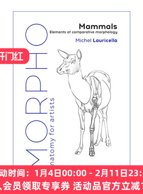 英文原版 Morpho Mammals 艺用人体结构 哺乳动物 比较形态学的要素 绘画指南 英文版 进口英语原版书籍