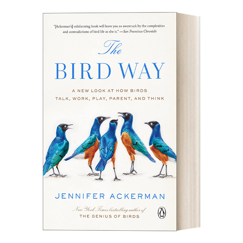 英文原版  The Bird Way 鸟类的行为 鸟类交流 觅食 嬉戏 育儿以及思考模式新探 自然科普 Jennifer Ackerman 英文版 进口书籍