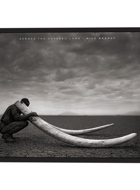 英文原版 Across the Ravaged Land 尼克·布兰特 穿过被蹂躏的土地 摄影集 精装艺术图册 Nick Brandt 英文版 进口英语原版书籍